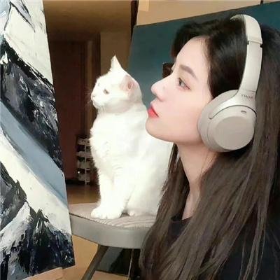 猫在巴黎
